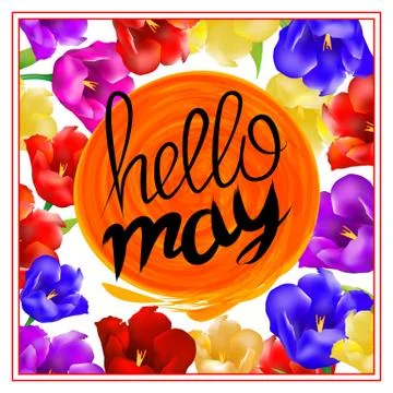 Lettering hellow may. sun orange. background with colorful flowers tulip isol Stock Illustration