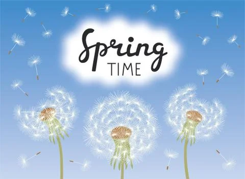 Lettering Spring Time. Dandelions with flying seeds on blue sky. Stock Illustration