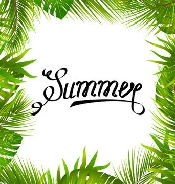 Lettering Text Summer with Border made in Palm Leaves 库存插图