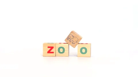 Letters on cubes make up zoo word Stock Footage 65318445