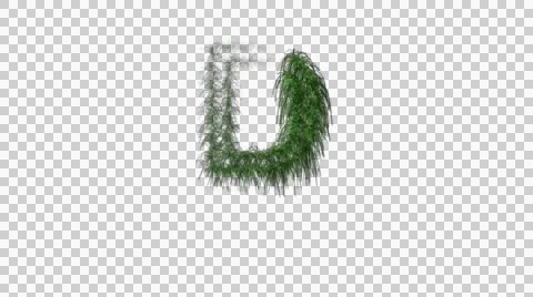 Letters D Animation Stockbeeldmateriaal 41391707