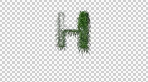 Letters H Animation Stockbeeldmateriaal 41391818