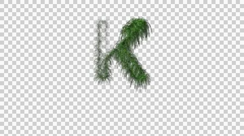 Letters K Animation 스톡 동영상 41391885