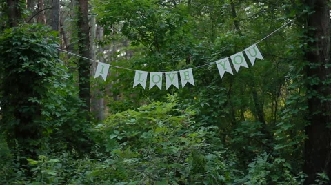 Letters on line between trees in the forest with the text I love you Stock Footage 51832633