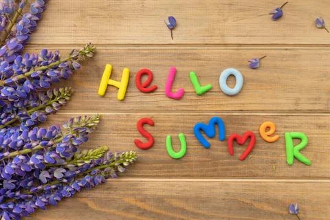 Letters made of multi-colored plasticine hello summer with fresh lupine flowers Stock Photos