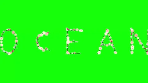 Letters Motion with Flowers Isolated Green Screen Stock Video Stock Footage 337996595