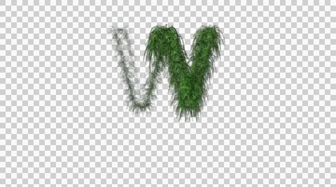 Letters W Animation Stockbeeldmateriaal 41391557