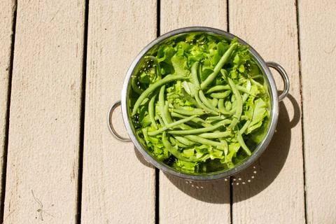 Lettuce and Beans 스톡 사진