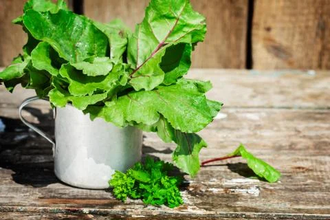 Lettuce and beets Stock Photos