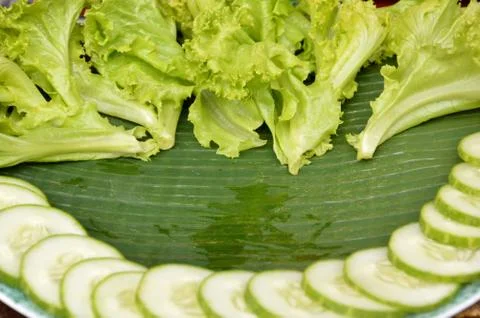 Lettuce and cucumber 写真素材
