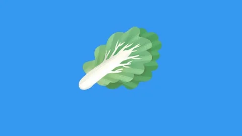 Lettuce animation on blue screen Vidéo 341541746