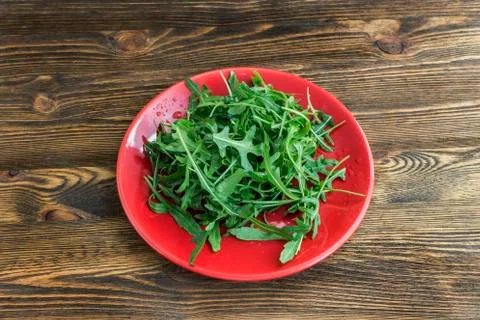 Lettuce arugula Stock Photos