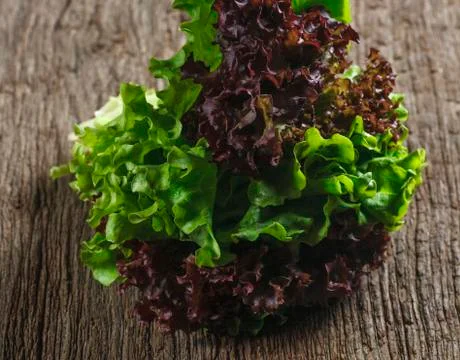 Lettuce on background Stock-Fotos