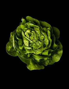 Lettuce on black Stock Photos