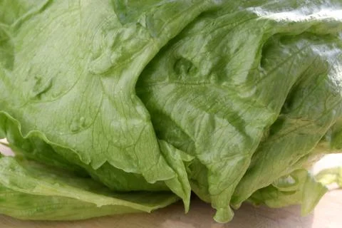 Lettuce on a chopping board Stock Photos