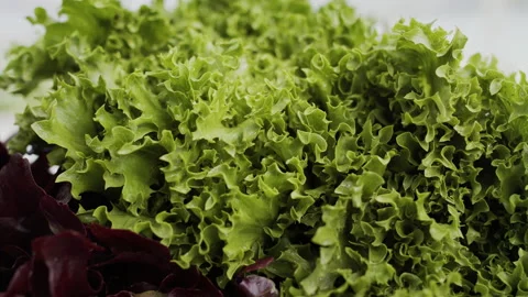 Lettuce close up Stock Footage 138465133