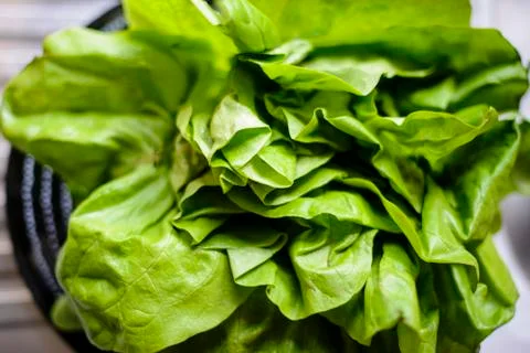 Lettuce close up view Stock Photos