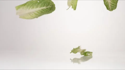 Lettuce Cut Romaine Leaves Bouncing Slow Motion White Tabletop Closeup Macro Stock Footage 335004033