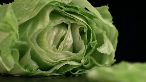 Lettuce Cut Slow Motion 스톡 동영상 84059456