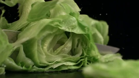 Lettuce Cut Slow Motion2 Stock Footage 84059468