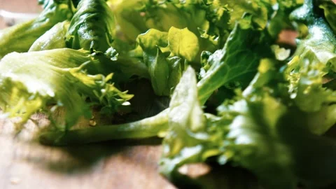 Lettuce on Cutting Board Video stock 171600268