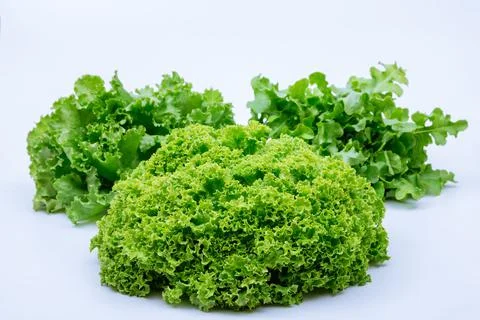 Lettuce of different kinds on a white background. Stock Photos
