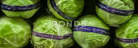 Lettuce on display at farmers market Stock Photos