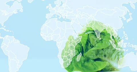 Lettuce emerging as frames progress, growing over map borders with water drops, 動画素材 334184962
