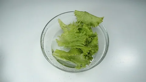Lettuce falling and water splashes, Slow... | Stock Video | Pond5