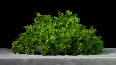 Lettuce falling in a plate - Slow Motion Stock Footage 77715403