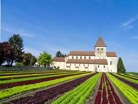 Lettuce field and monastery. Rows of different sorts of lettuce. Stock-Fotos