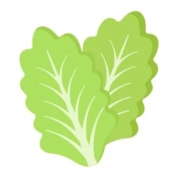 Lettuce flat icon, vegetable and salad leaf Stock Illustration