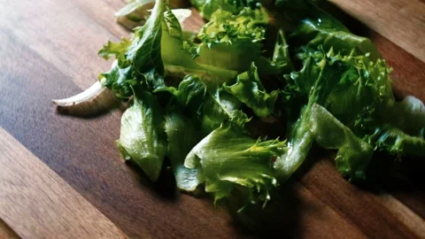 Lettuce Stock Footage 171600253