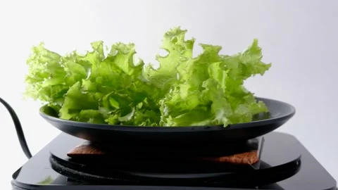Lettuce Stock Footage 231013388