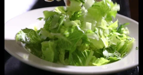 Lettuce Stock Footage 295973053