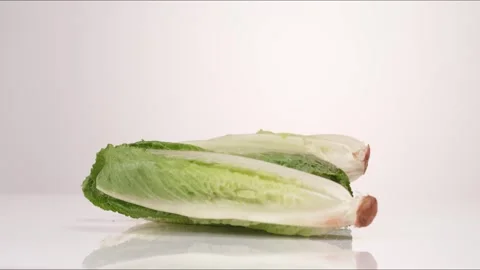 Lettuce Full Romaine Heads Bouncing Slow Motion White Tabletop Closeup Macro Stock Footage 335003654