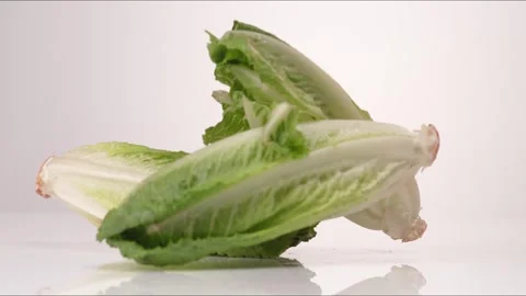 Lettuce Full Romaine Heads Bouncing Slow Motion White Tabletop Closeup Macro Stock Footage 335005189