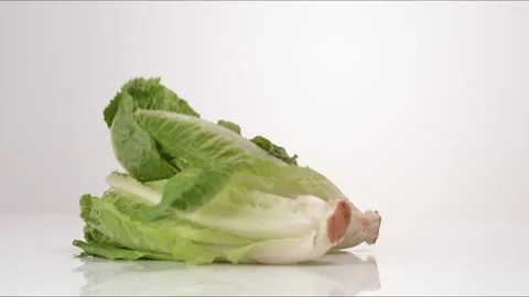 Lettuce Full Romaine Heads Bouncing Slow Motion White Tabletop Closeup Macro Stock Footage 335005559