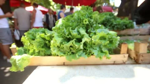 Lettuce on greenmarket Stock Footage 12209371