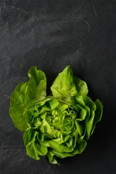 Lettuce Head on a Dark Gray Stone Surface Copy Space Stock Photos