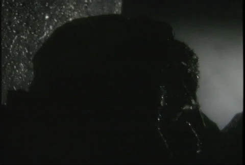 Lettuce Illumination Stock Footage 143737