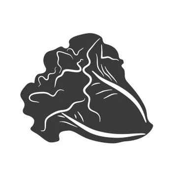 Lettuce Stock Illustration