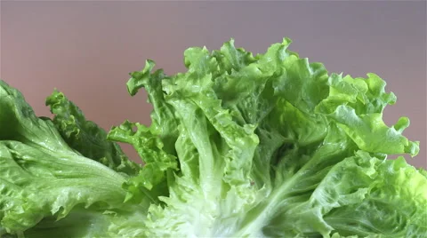 Lettuce isolated rotating on blown/gray background Stock Footage 62327078