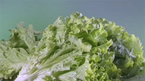 Lettuce isolated rotating on green/gray background Stock Footage 62326954