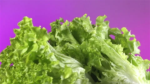 Lettuce isolated rotating on pink background Video stock 62327009