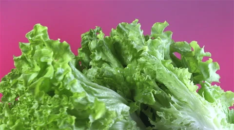 Lettuce isolated rotating on red background Stock Footage 62326843