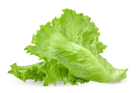 Lettuce isolated on white with clipping path Stock Photos