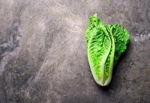 Lettuce on a kitchen stone table Stock Photos