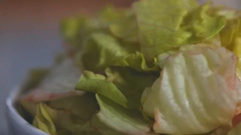 Lettuce leaf closeup Stock Footage 103985410