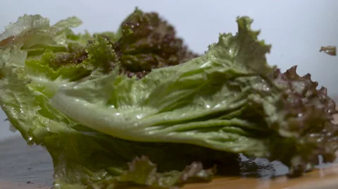 Lettuce leaf falling in slow motion onto a cutting board in slow motion Stock Footage 64572709